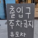 보리돈