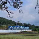 자은의 언덕 이미지