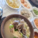 대명관 | 목포 꼬리곰탕 맛집 1티어 대명관에서 몸보신 후기..