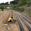 감고을펜션 이미지