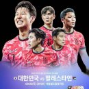 대한축구협회 "홍명보호 위해 초대형 전세기 동원" 이미지