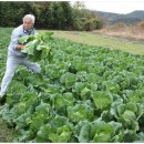 초가집 농장 이미지