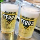 청년조개 이미지