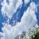 망미배산로70번길 이미지