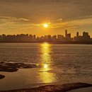 배곧한울공원 이미지