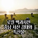 세계 5대 청정갯벌이 품은 맛, 서산 특산물의 가치