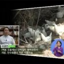 백봉한의원 이미지