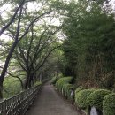 덕신공원 2 이미지