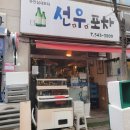 선우포차 이미지