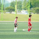충주중앙초등학교 이미지