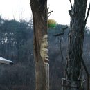 샘물농장 이미지