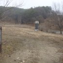 대치유한의원 Daum카페