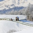 태평양목장 이미지