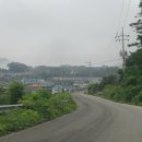완도 미라리 상록수림 이미지