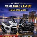 돈리스