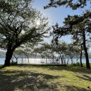 진해루해변공원(진해루옆) 이미지