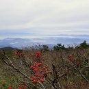 일본 야마가타(山形) - 자오산(藏王山) 로프웨이 이미지