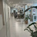 청산힐링샘 | 분당 미용실 룹헤어 클리닉 솔직후기