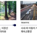 가오초등학교/가오유치원 이미지