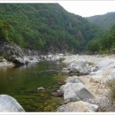 왕피천생태탐방로 이미지