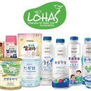 일동후디스 이미지