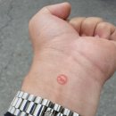 마장면 종합복지회관 이미지