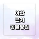 신동리 | 아산시 근처 동물병원 잘하는곳 추천 정보 중성화 수술 치료 가격 후기 24시 새벽 토요일 공휴일