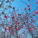 금호강2 이미지