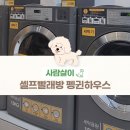 펭귄빨래방 이미지