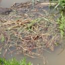 무릉다락방 이미지