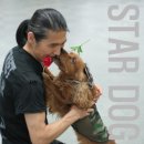 스타독(Star Dog) 이미지
