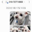 손 동물병원 이미지
