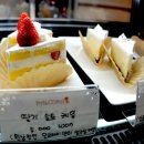 달코마이 이미지