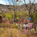 월아산 숲속의 진주 | 월아산 숲속의 진주 산책로 숲해설 후기
