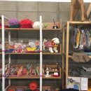 하이펫살롱 이미지