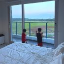 포니제주 | 제주스러웠던 제주감성숙소 포니제주 208호 후기
