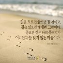 마음 이미지