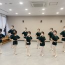 루나무용학원 이미지
