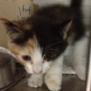 다솔메디칼 이미지