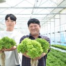 고향뜰 농장 네이버블로그