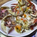 충남서산꽃게집 | 인천 송도유원지 맛집 구송도 송도꽃게거리 충남서산꽃게집 꽃게코스 내돈내산 후기