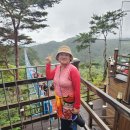 웰리힐리파크 이미지