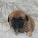 신원4리 이미지