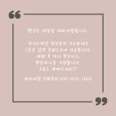 새라네일 - 고양시 덕양구 | 새라네일