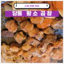 감탄당동점 | 군포 당동 맛집 황소곱창 모듬대와 특양 정복기