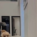 오션나비드풀빌라 이미지