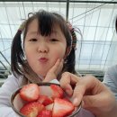 다인농장 이미지