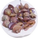 시온수산 이미지