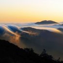금대레저
