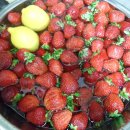 샘터어린이집 이미지